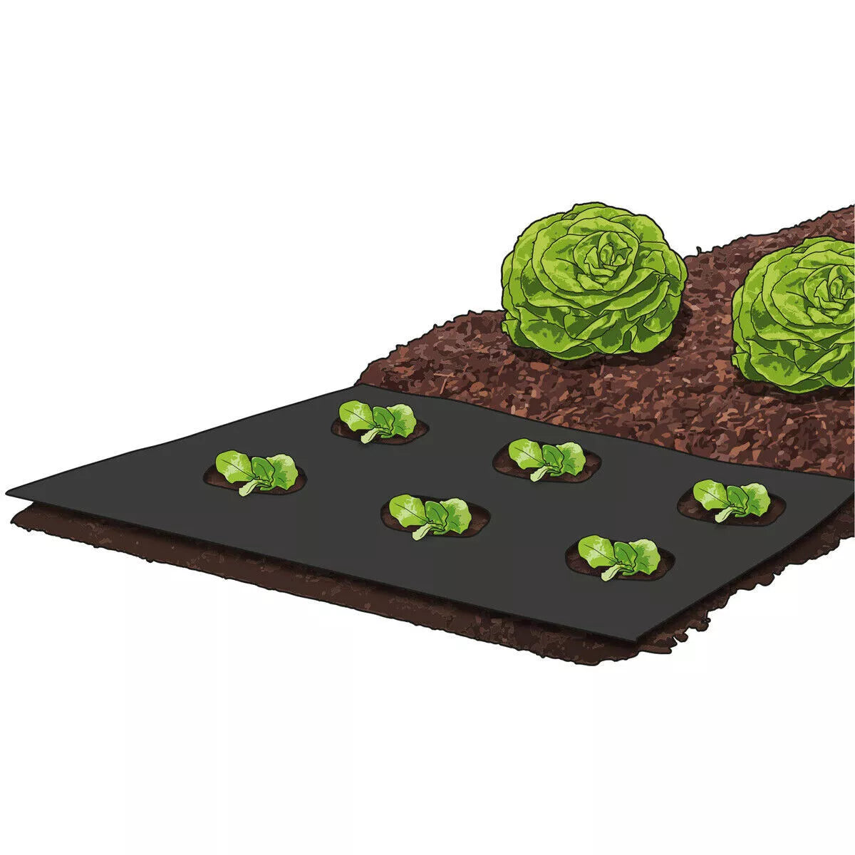 غشاء قماشي لمكافحة الأعشاب من بارك سايد - PARKSIDE weed control fleece membrane Fabric Ground Cover