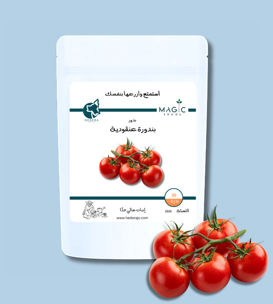 بذور بندورة عنقودية عالية الجودة – High Quality Cluster Tomato Seeds