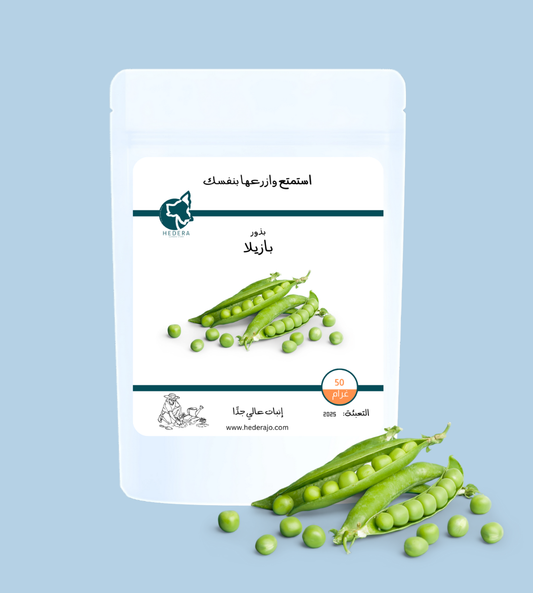 بذور بازيلاء عالية الجودة – High Quality Pea Seeds