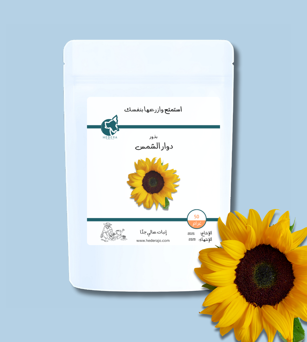 بذور دوار الشمس عالية الجودة - High Quality Sunflower Seeds