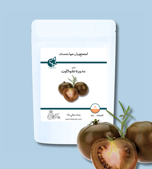 بذور بندورة سوداء (تشوكليت )عالية الجودة - High Quality Chocolate Tomato Seeds