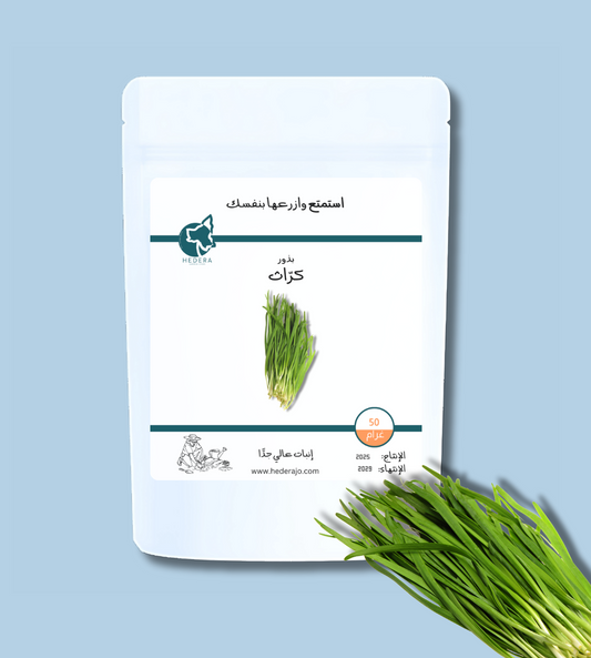 بذور كُراث عالية الجودة - High Quality leek Seeds