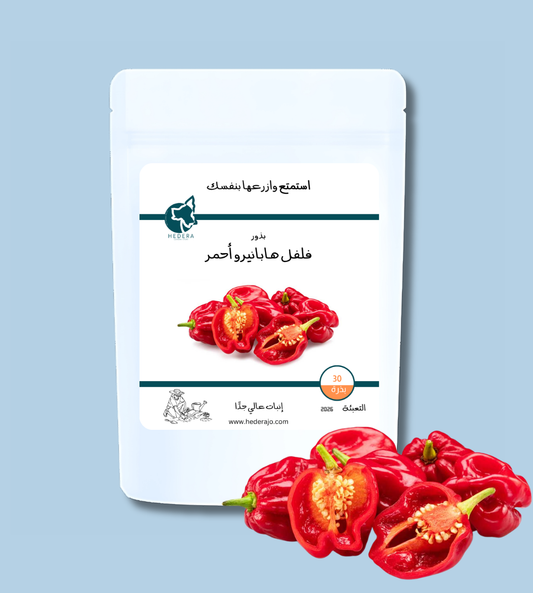فلفل هابانيرو أحمر كاريبي حار جدًا – Caribbean Habanero Hot Pepper Seeds