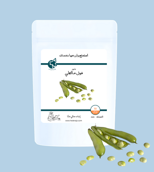 بذور فول مالطي عالية الجودة - High Quality Maltese Broad Bean Seeds