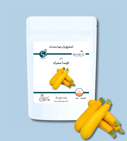 بذور كوسا صفراء – Yellow Zucchini
