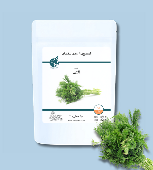 بذور شبت ( عين جرادة ) عالية الجودة - High Quality Dill Seeds