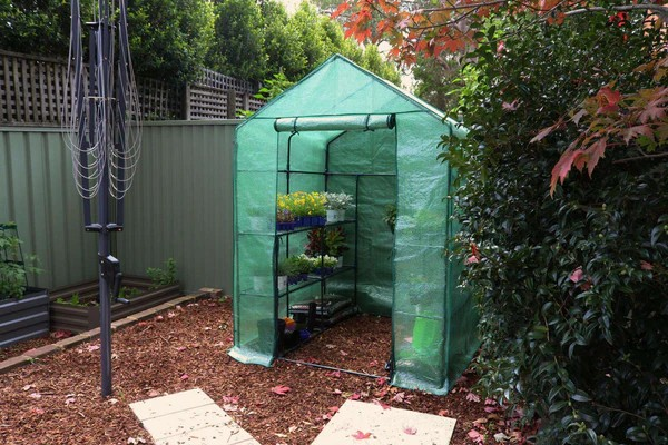 بيت بلاستيكي للحديقة بأربع طبقات مع غطاء مقوى - Greenlife 4-Tier Walk-in Greenhouse with PE Cover