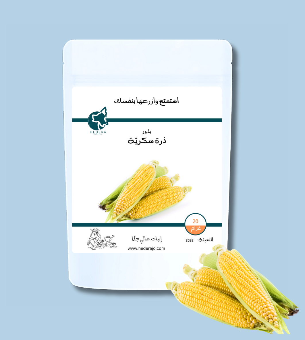 بذور ذرة سكرية عالية الجودة للحديقة المنزلية | High Quality Sweet Corn Seeds