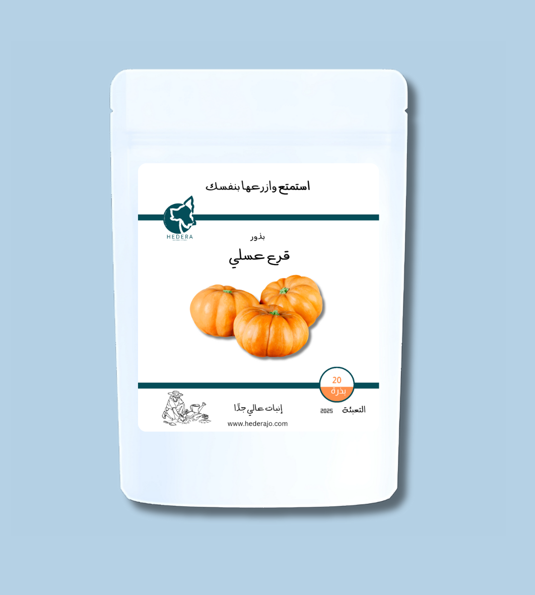 بذور قرع عسلي عالية الجودة للزراعة المنزلية والحقلية