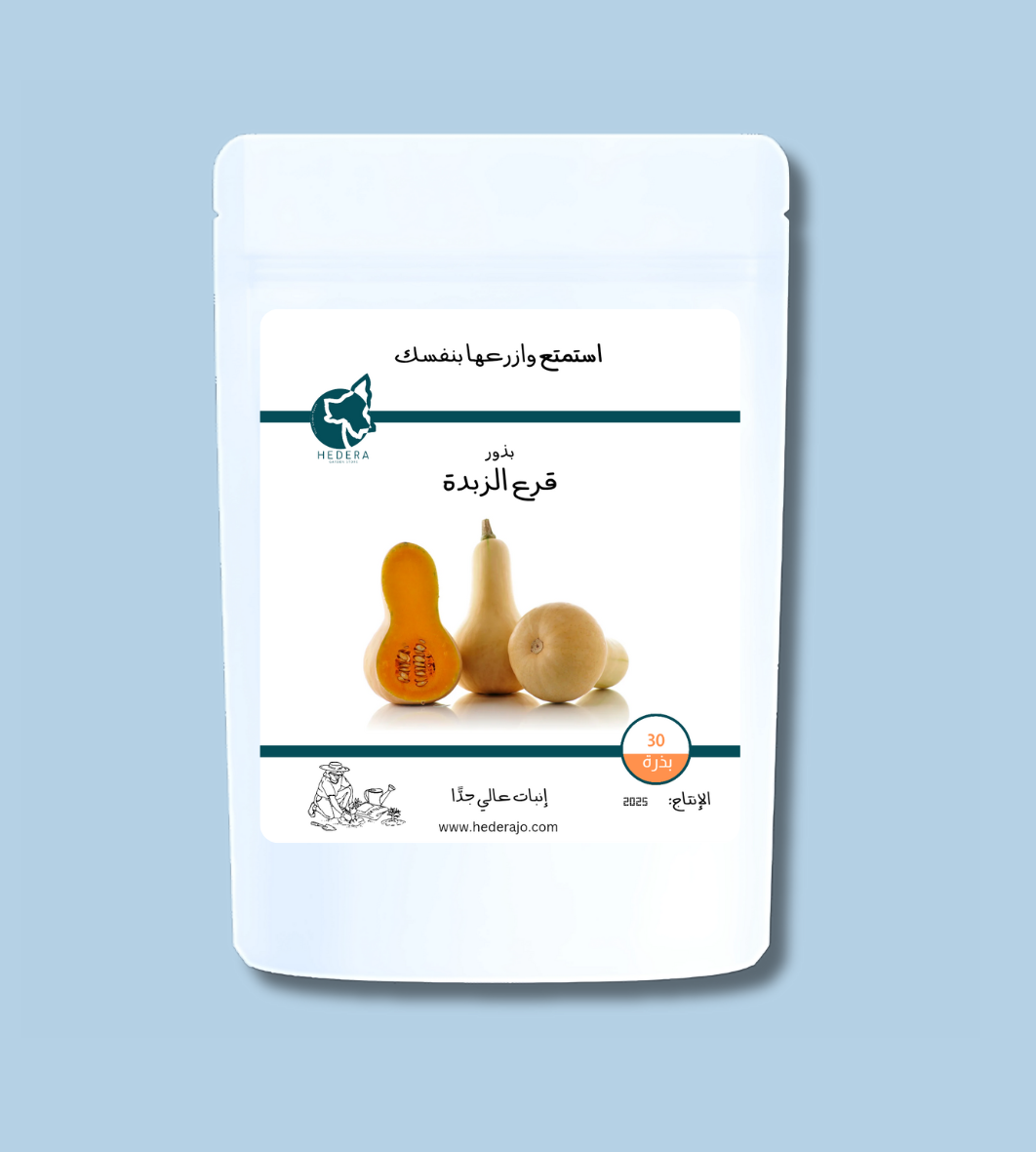 بذور قرع الزبدة عالية الجودة - High Quality Butternut Squash Seeds