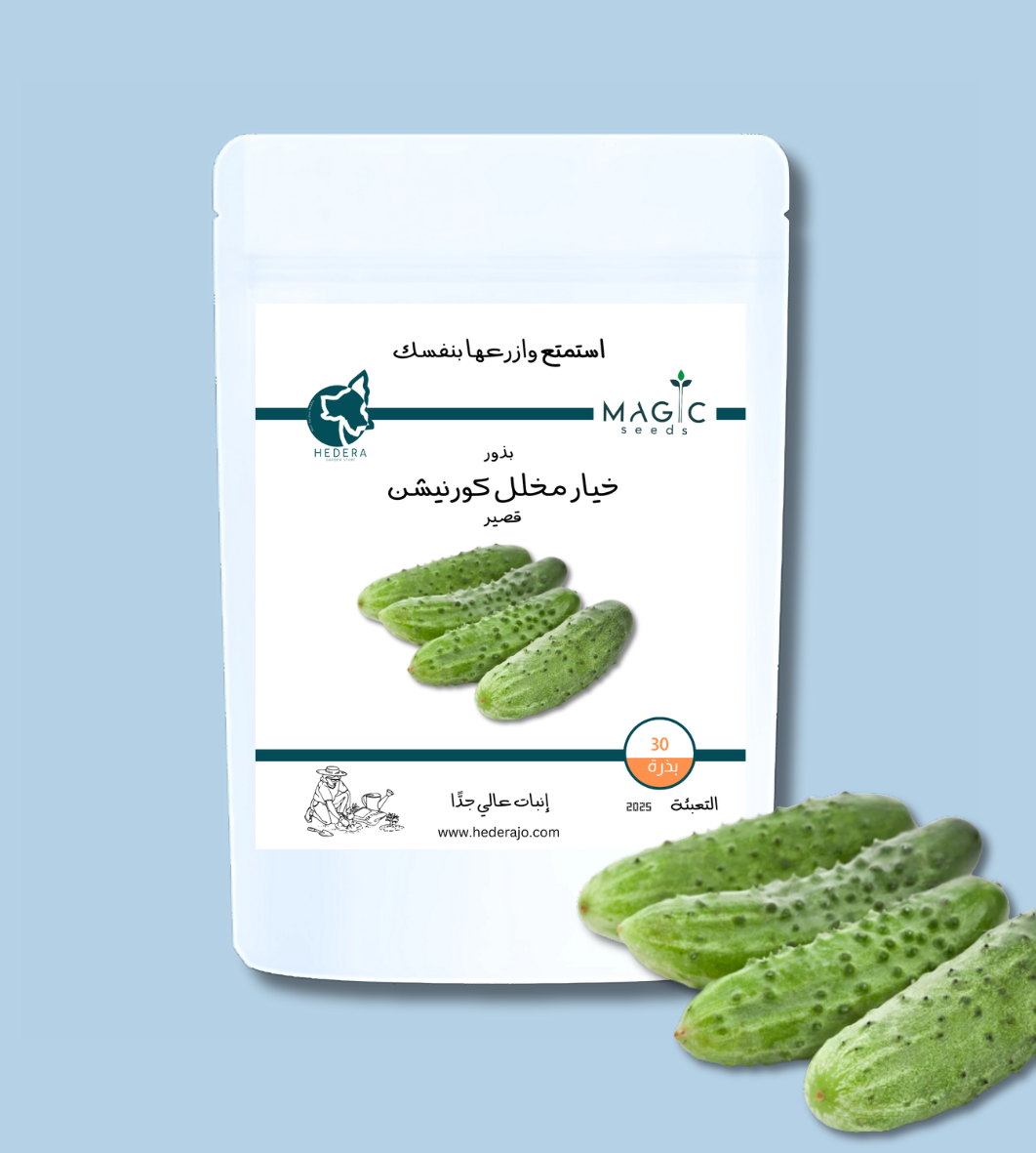 بذور خيار مخلل كورنيشون قصير – Short Cornichon Cucumber Seeds
