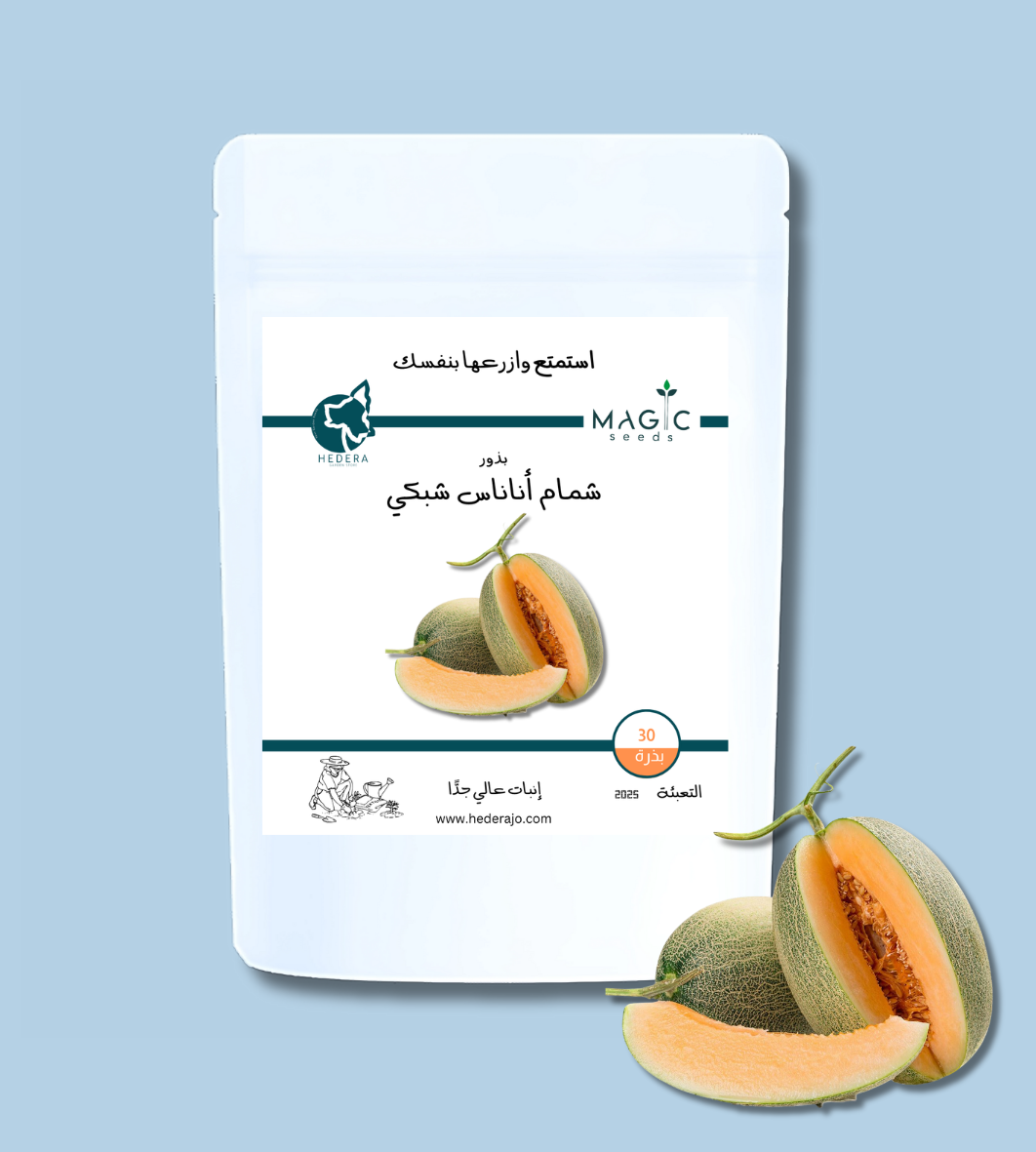 بذور شمام أناناس شبكي – Ananas Net Melon Seeds