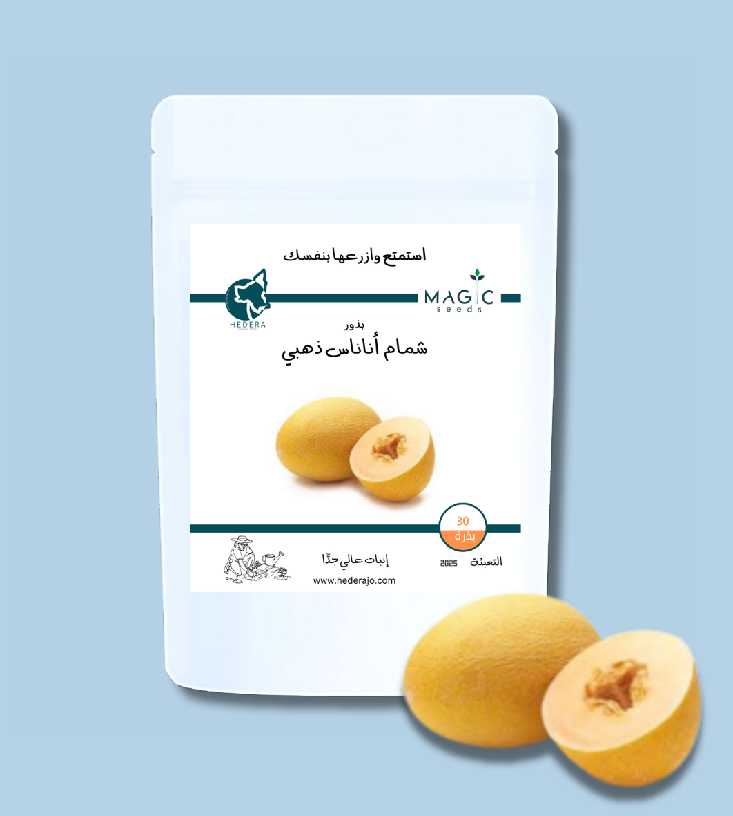 بذور شمام أناناس ذهبي – Golden Ananas Melon Seeds