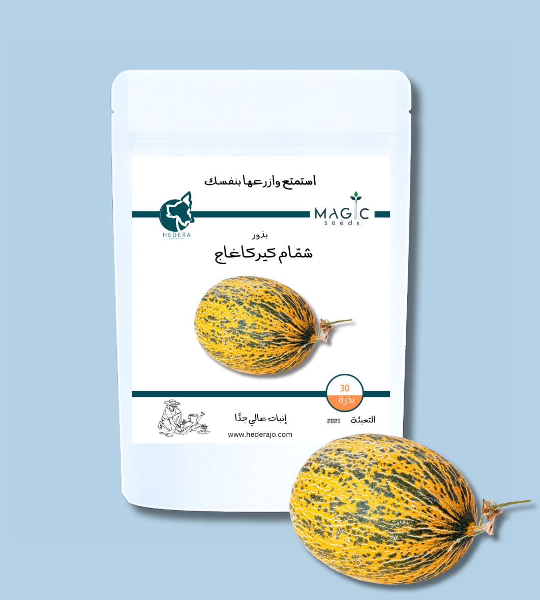 بذور شمام كيركاغاج – Kirkagac Melon Seeds