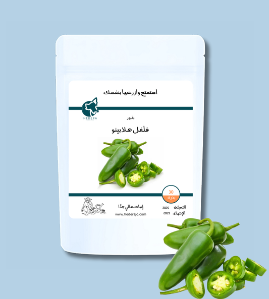 بذور فلفل هالابينو عالية الجودة – High Quality Jalapeño Pepper Seeds