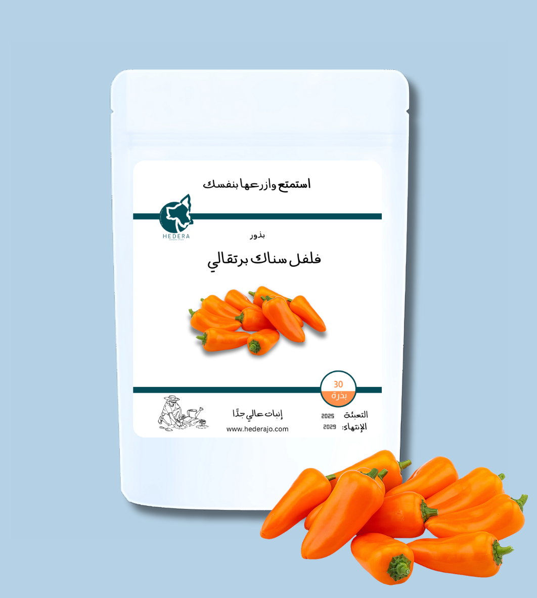 بذور فلفل سناك برتقالي عالية الجودة – High Quality Orange Snack Pepper Seeds