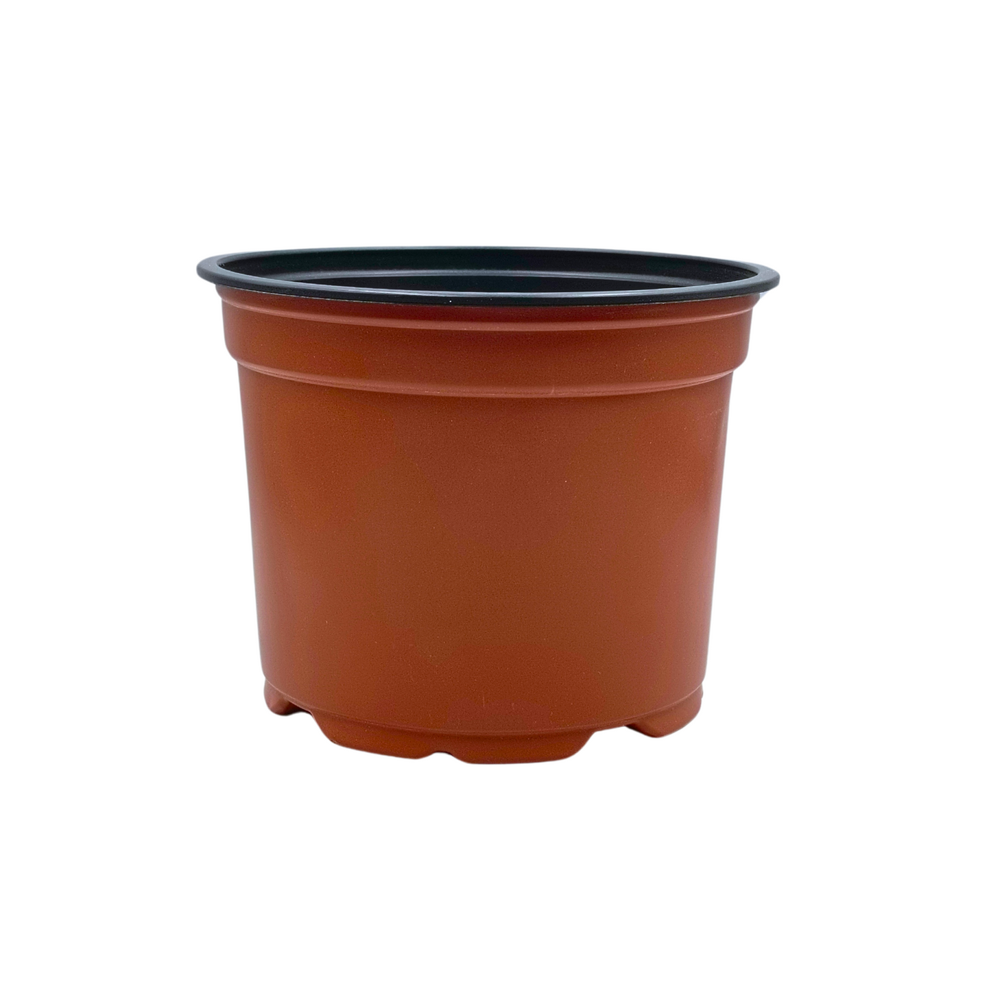 starter seedling pots 700 ml- حوض تشتيل بلاستيك 700 مل