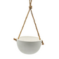 Hanging plant pot - حوض نباتات معلق