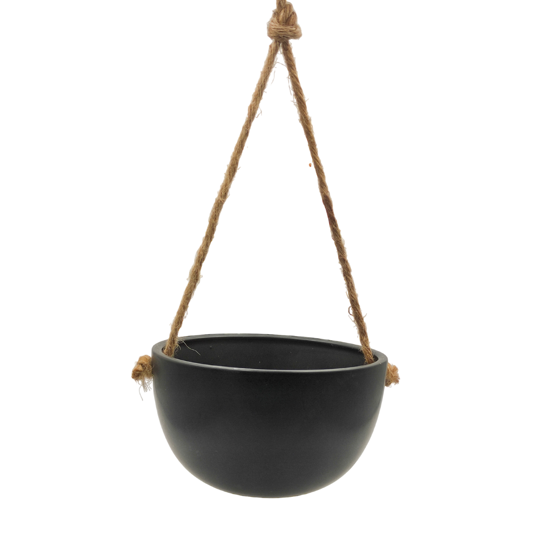 Hanging plant pot - حوض نباتات معلق