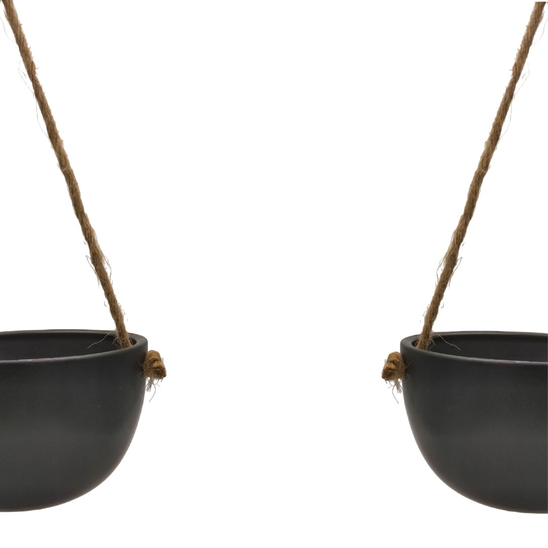 Hanging plant pot - حوض نباتات معلق