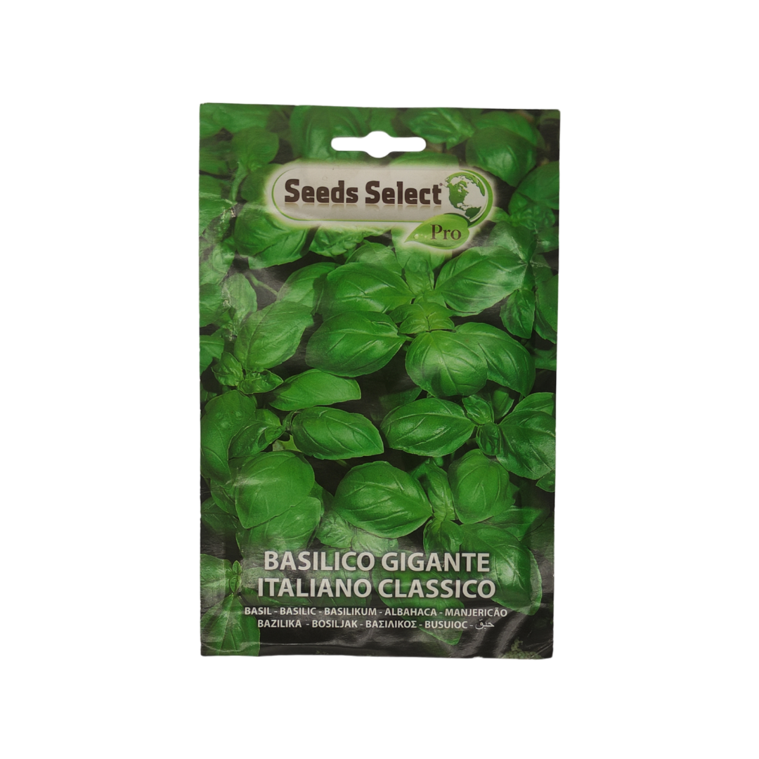 Edible Basil high quality seeds - بذور ريحان قابل للأكل عالية الجودة