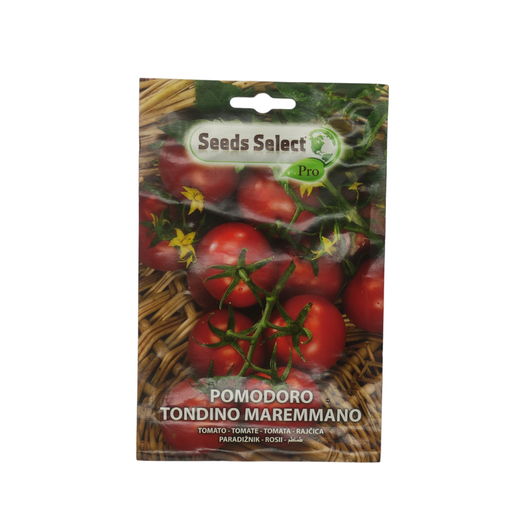 tomato dates high quality seeds - بذور بندورة عنقودية عالية الجودة