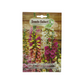 digitalis purpurea high quality seeds - بذور زهرة الجرس عالية الجودة