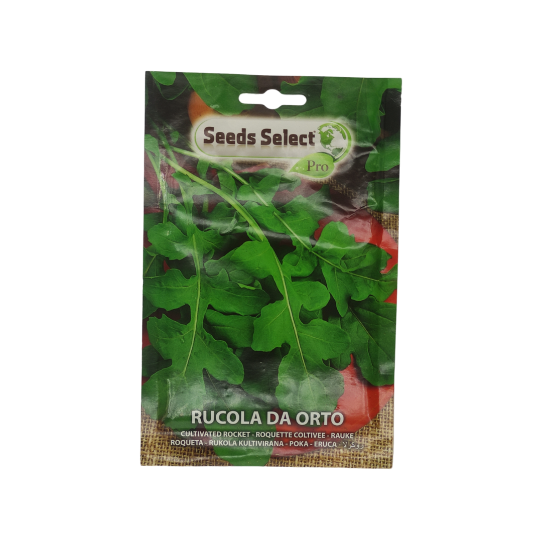 rucola high quality seeds - بذور جرجير روكولا عالية الجودة