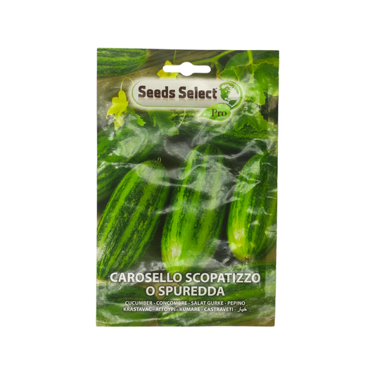 Cucumis high quality seeds - بذور فقوس بلدي عالية الجودة