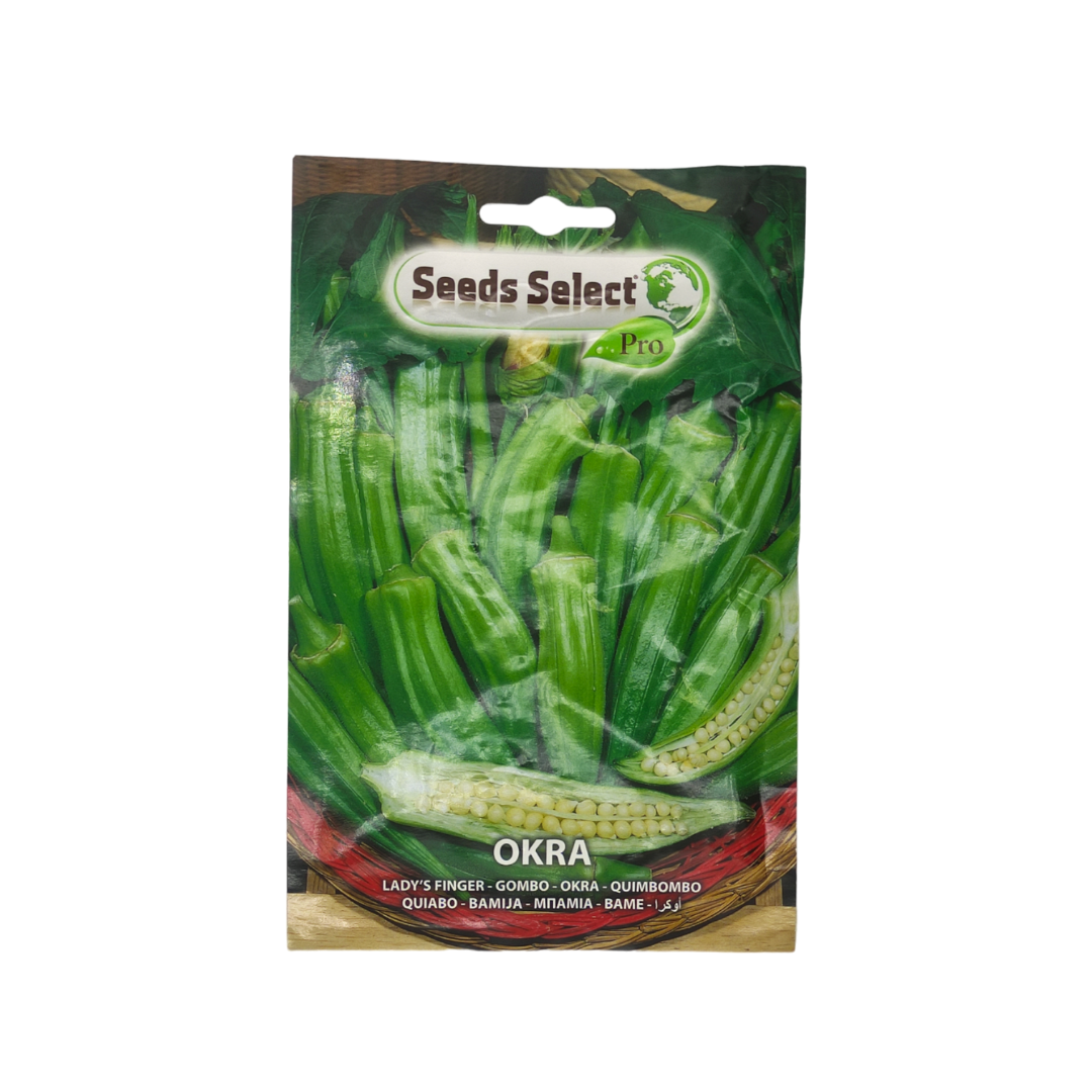 High quality Okra seeds - بذور بامية عالية الجودة