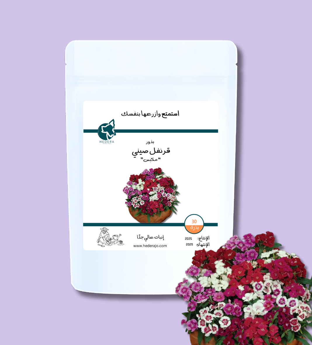 بذور قرنفل صيني مكبّس عالية الجودة - High Quality Dianthus Ideal Select Mix Seeds