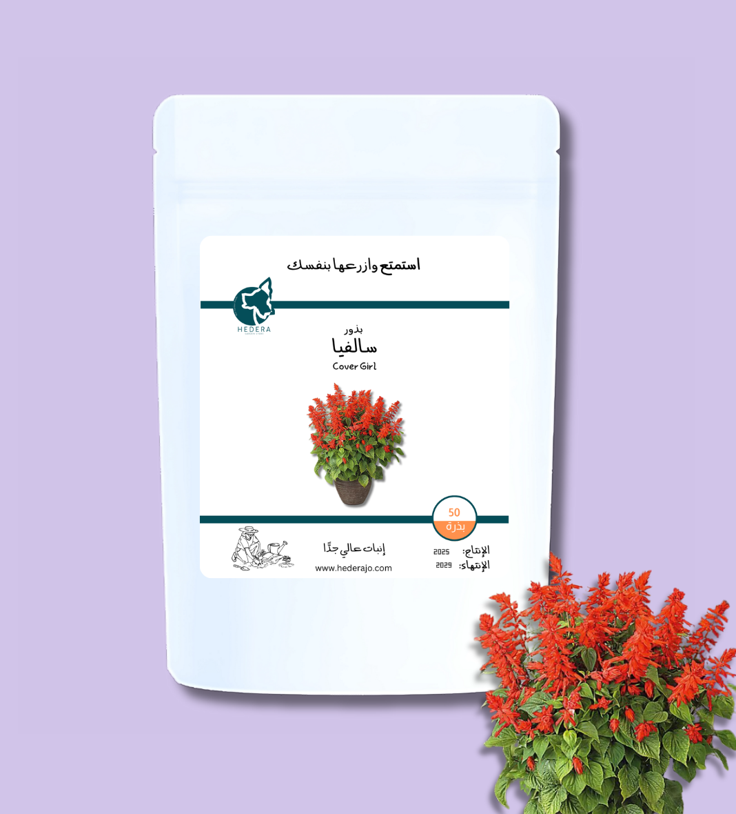 بذور سالفيا عالية الجودة - High Quality Salvia Splendens Seeds