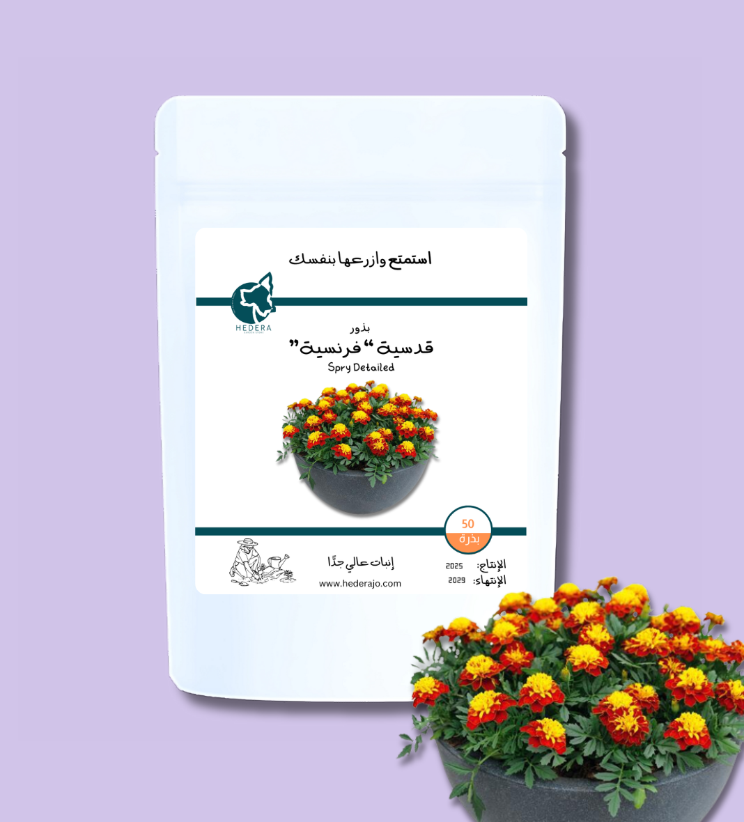 بذور قدسيّة فرنسية ( قطيفة ) عالية الجودة - High Quality Tagetes Patula  Spry Seeds