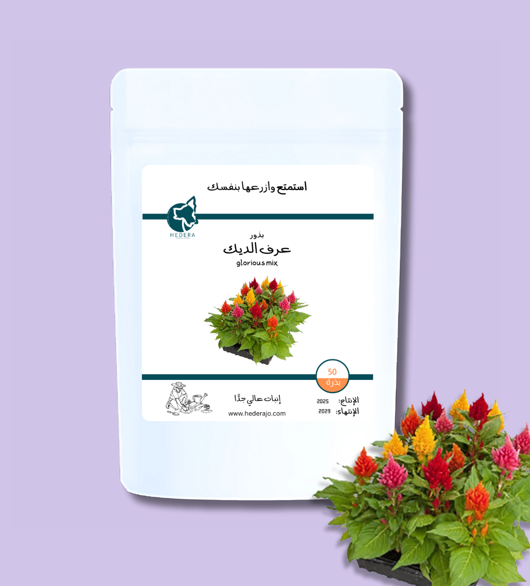 بذور عرف الديك عالية الجودة - High Quality Celosia Plumosa Glorious Mix Seeds