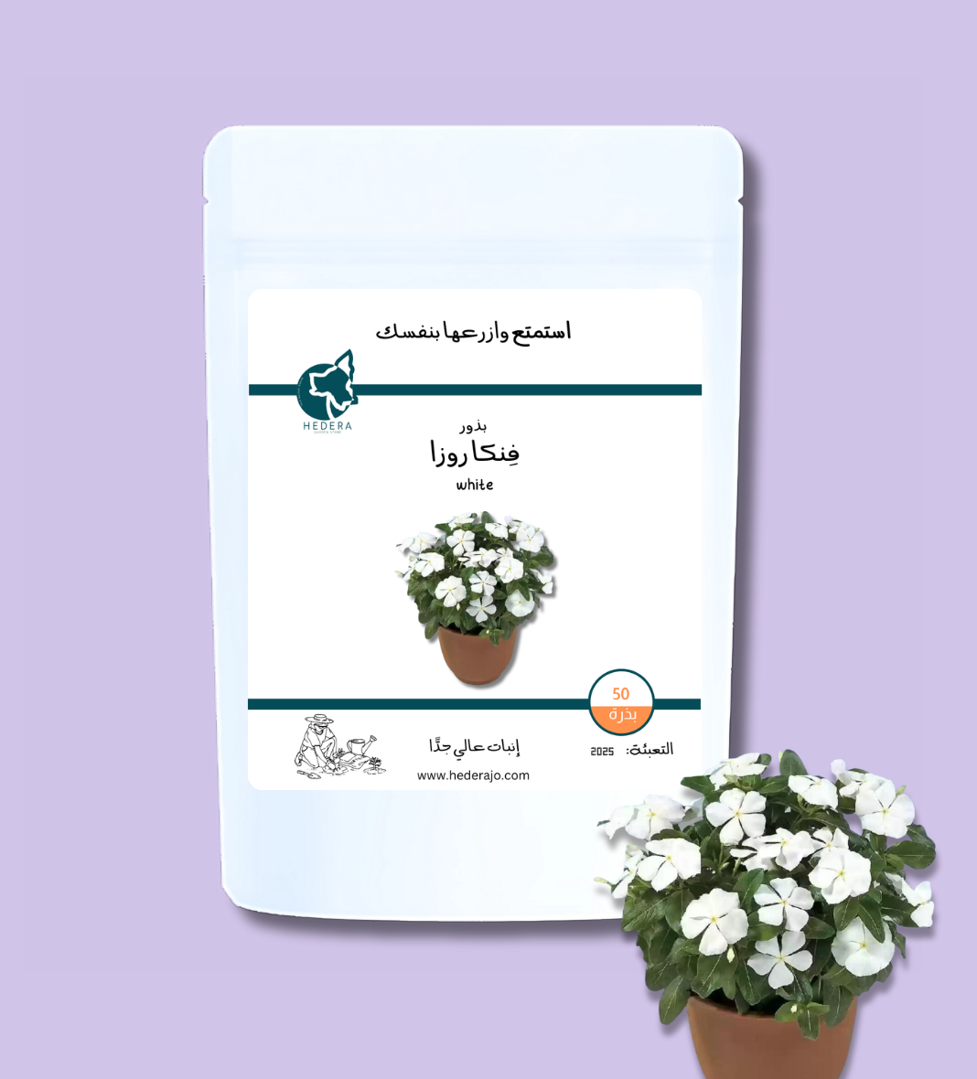 بذور فينكا روزا أبيض عالية الجودة - High Quality Vinca Roseus White Seeds
