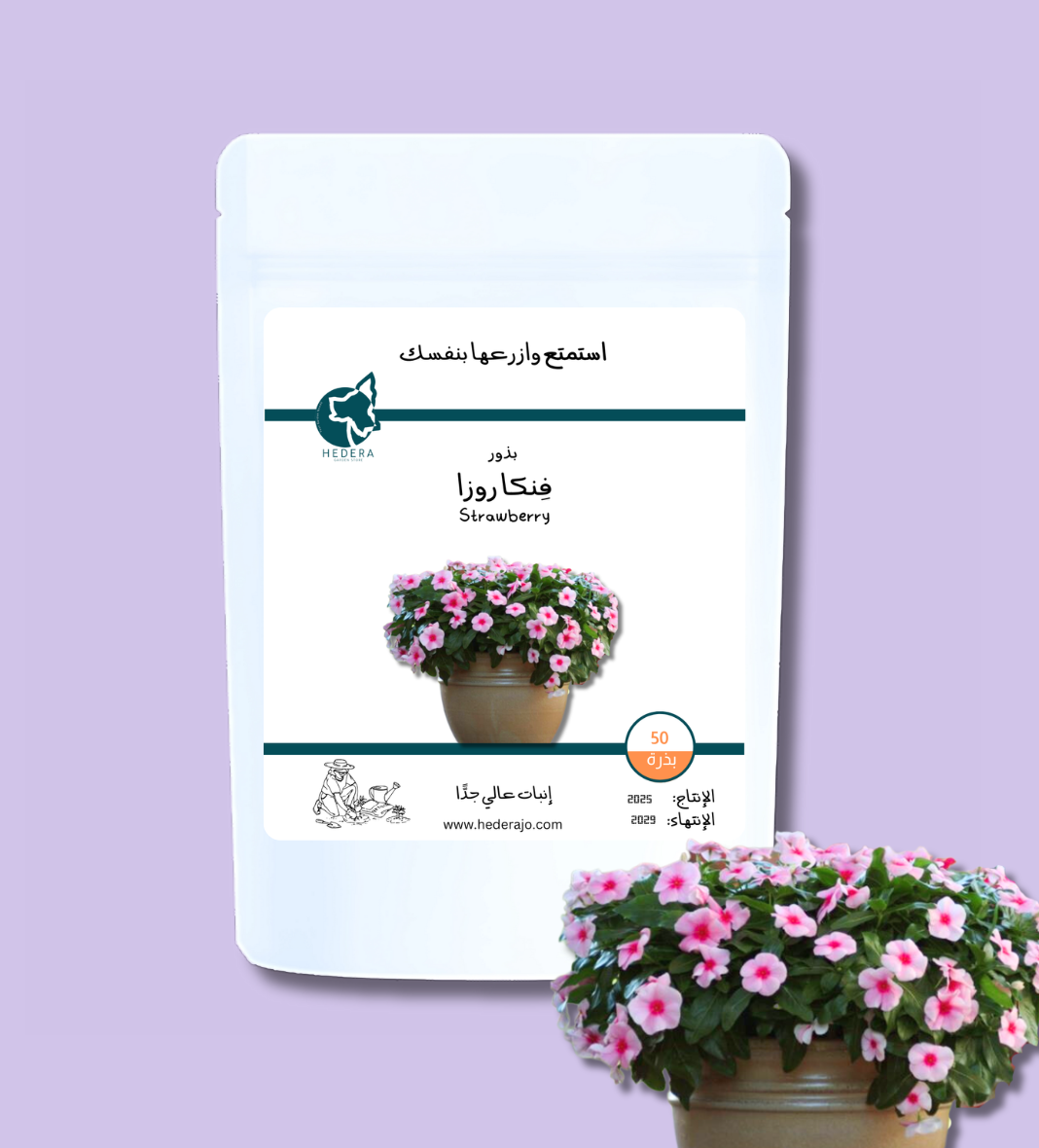بذور فينكا روزا وردية عالية الجودة - High Quality Vinca Roseus Sunjewels Strawberry Seeds