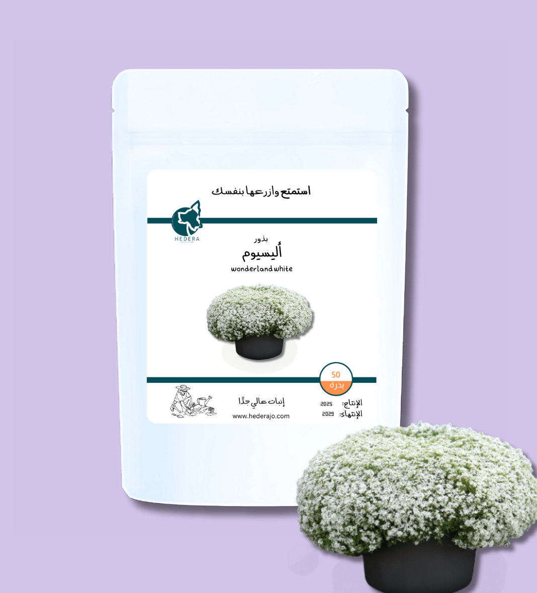 بذور أليسيوم أبيض عالية الجودة - High Quality Wonderland White Alyssum Seeds