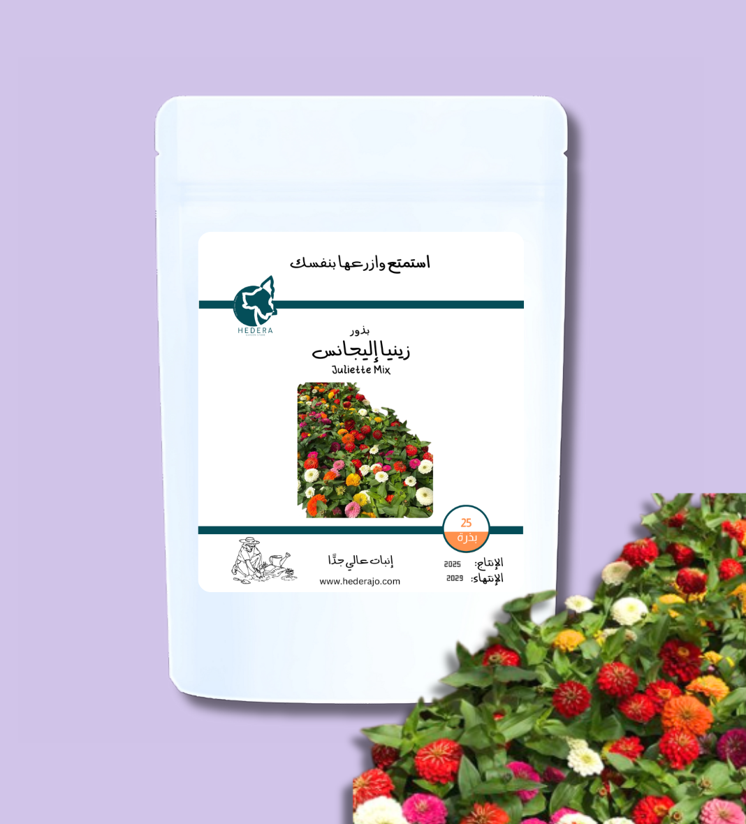 بذور زينيا اليجانس عالية الجودة - High Quality Zinnia Elegance Seeds