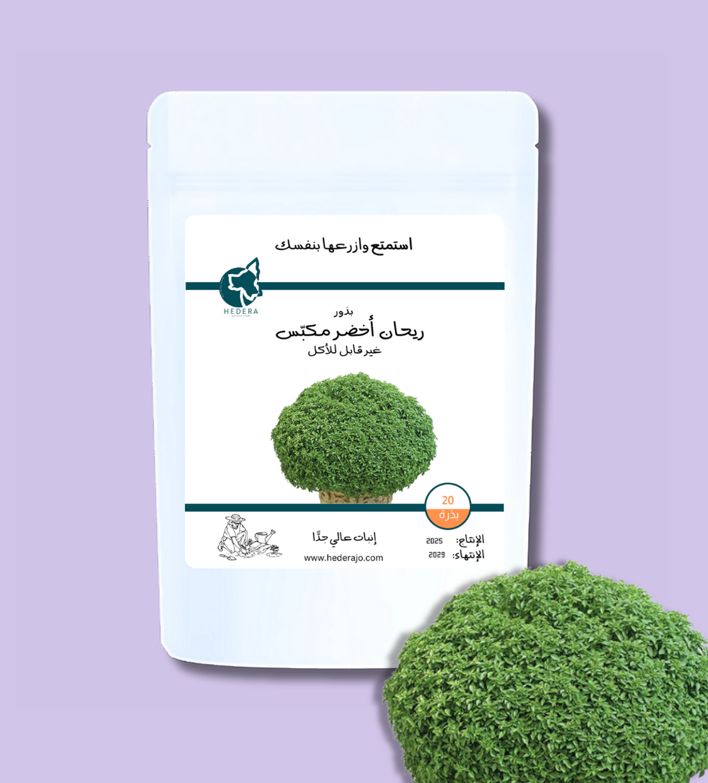بذور ريحان مكبس غير قابل للأكل عالية الجودة - High Quality Basil Seeds