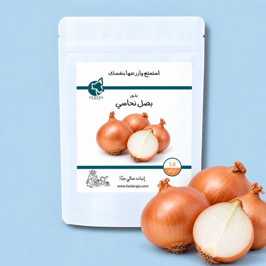 بذور بصل نحاسي – Copper Onion Seeds