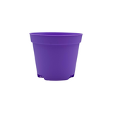 starter seedling pots 250 ml- حوض تشتيل بلاستيك 250 مل