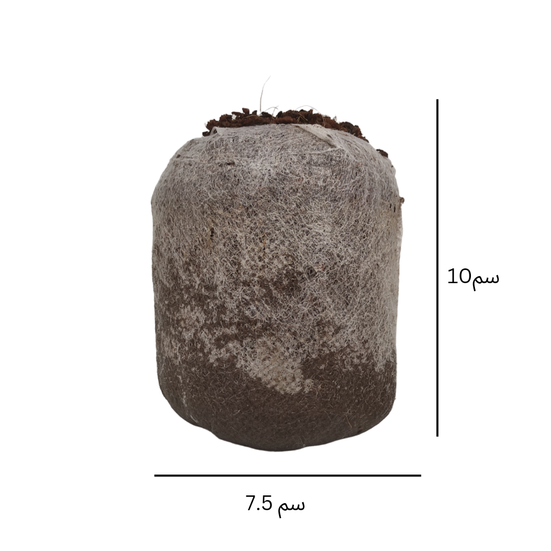 12 cocopeat capsule - كبسولات كوكوبيت عدد 12