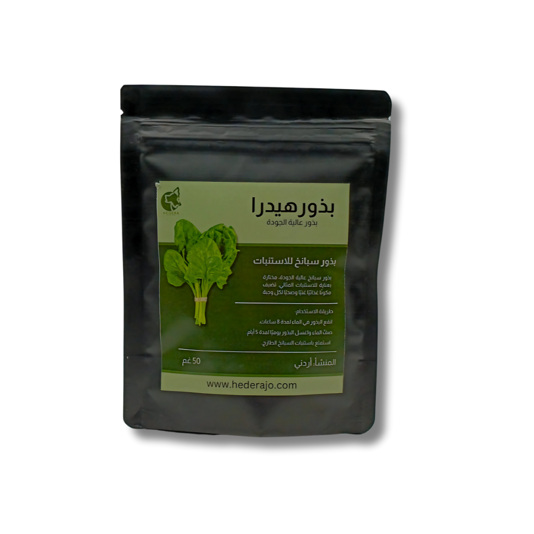 بذور السبانخ للاستنبات - Spinach Microgreens Seeds