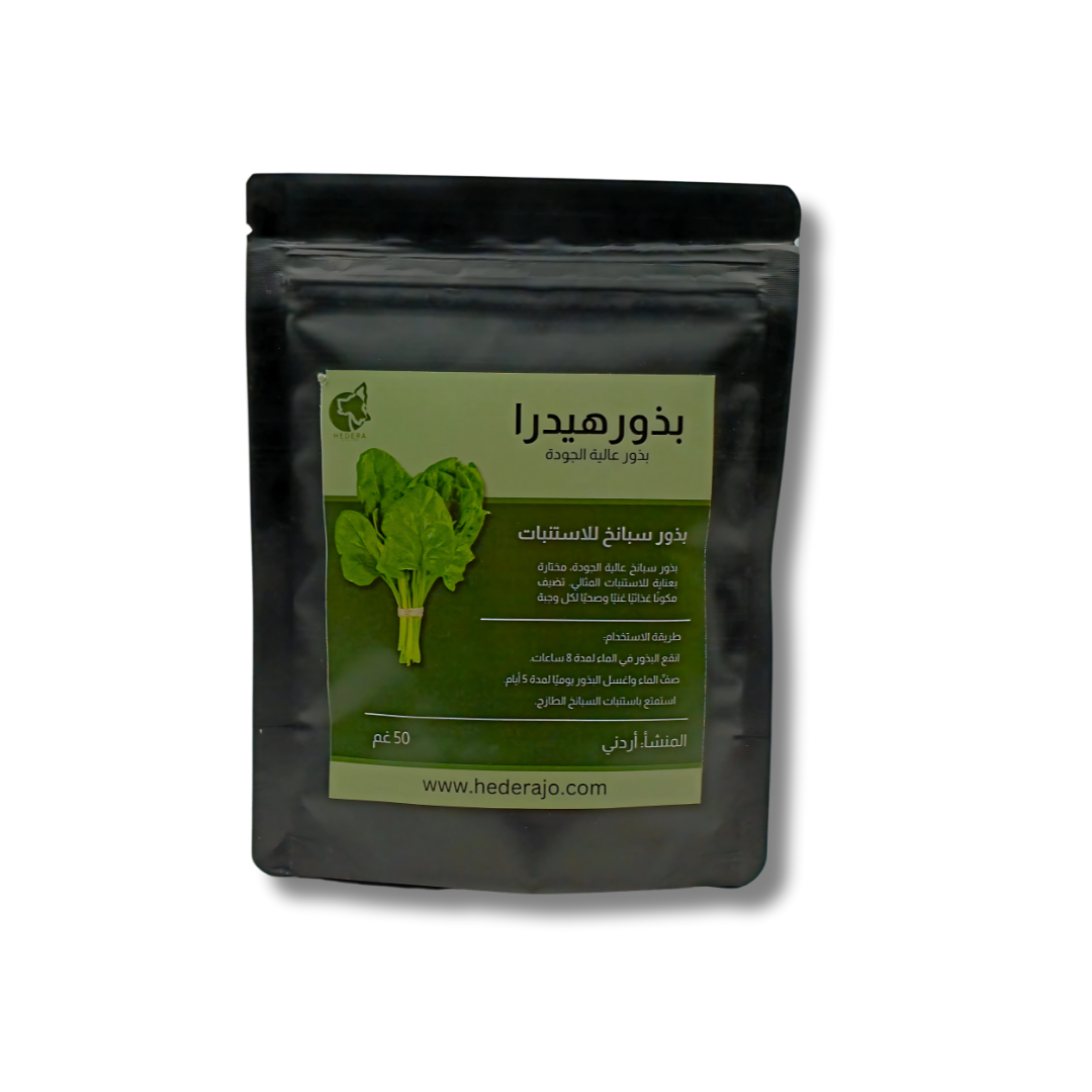 بذور سبانخ للاستنبات لزراعة المايكروجرين
