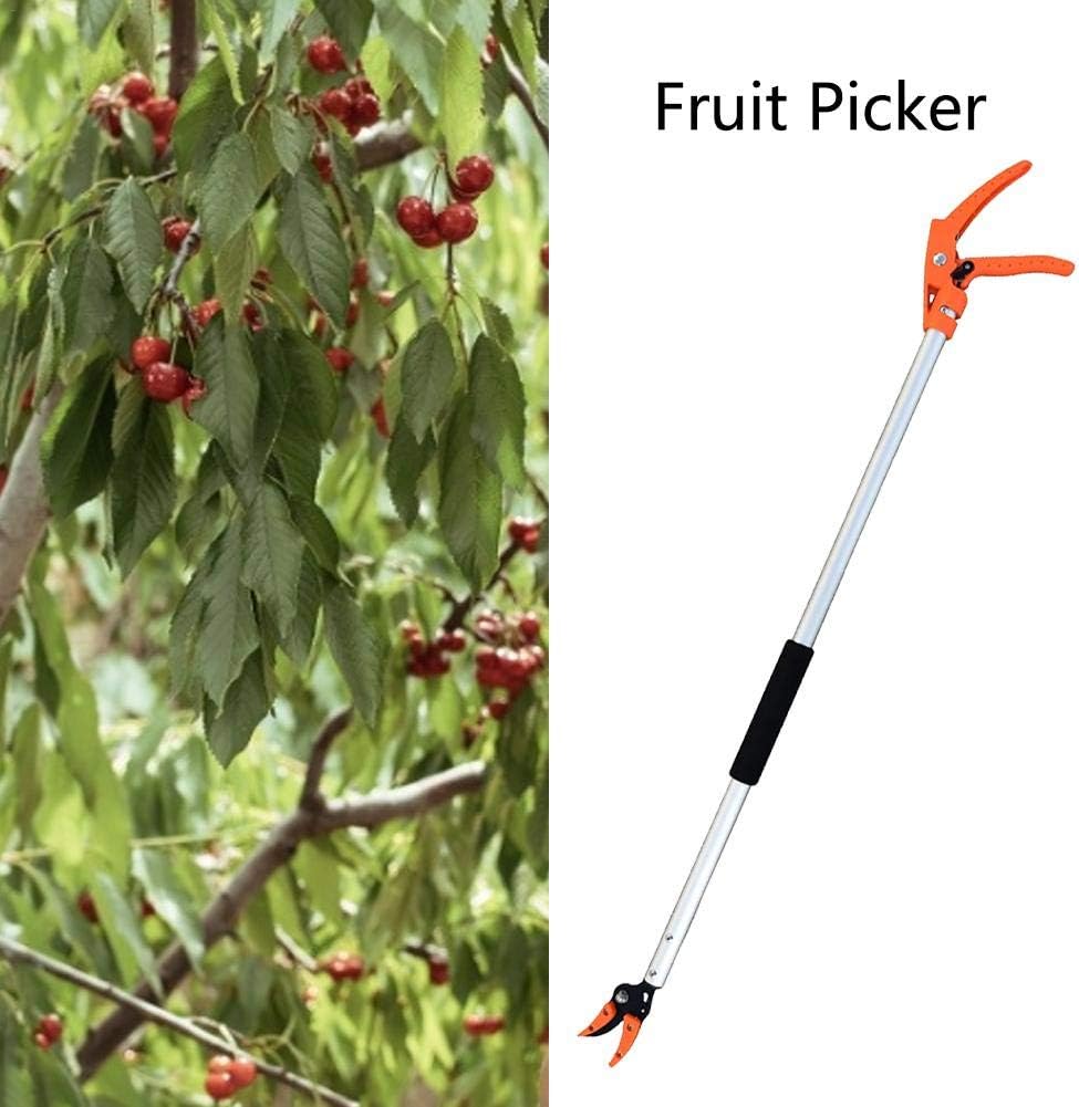 Fruit Picker 130cm - قاطفة ثمار ومقص أغصان رفيعة