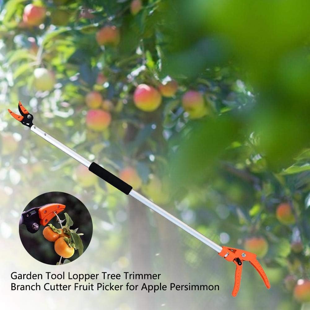 Fruit Picker 130cm - قاطفة ثمار ومقص أغصان رفيعة