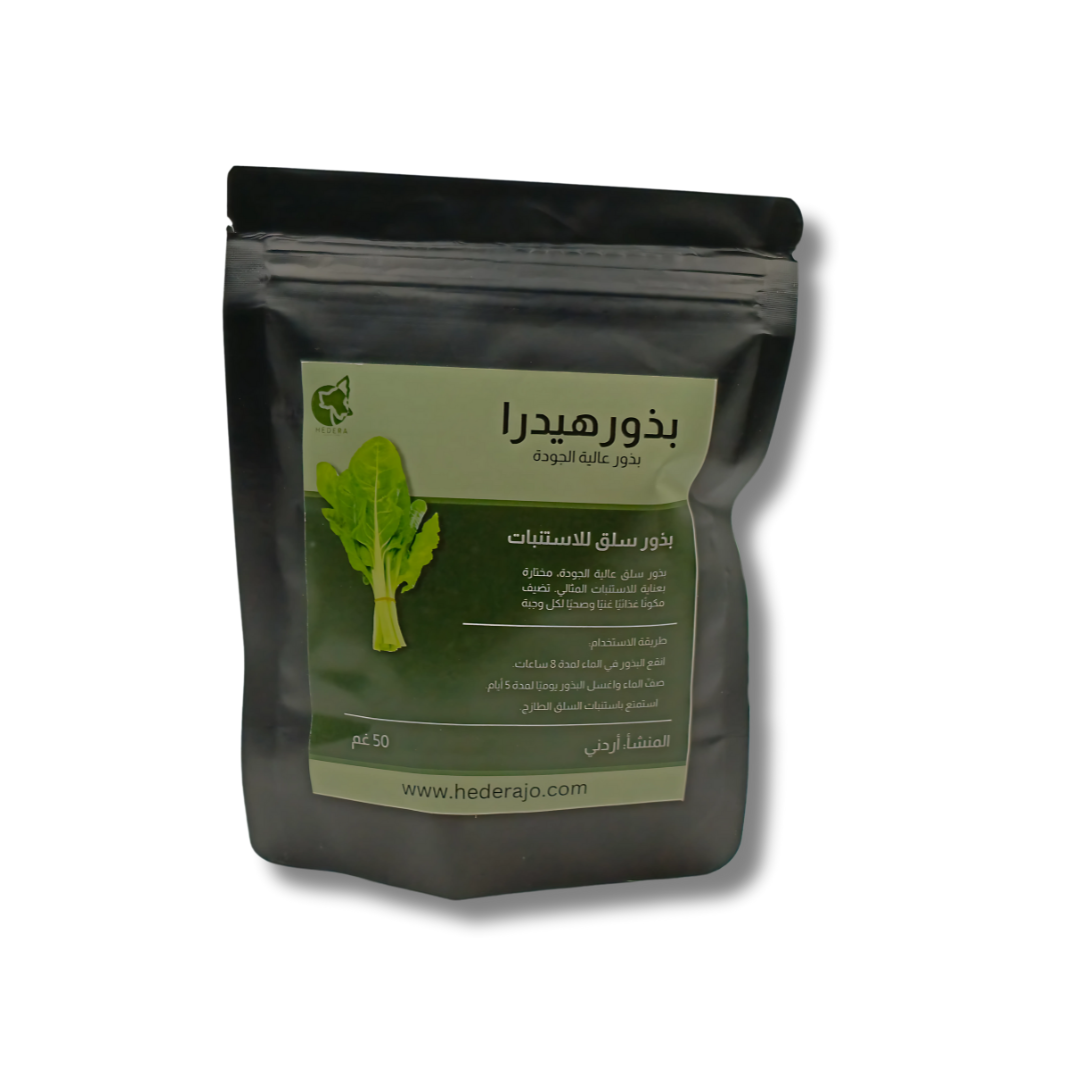 بذور سلق للاستنبات بسيقان ملوّنة