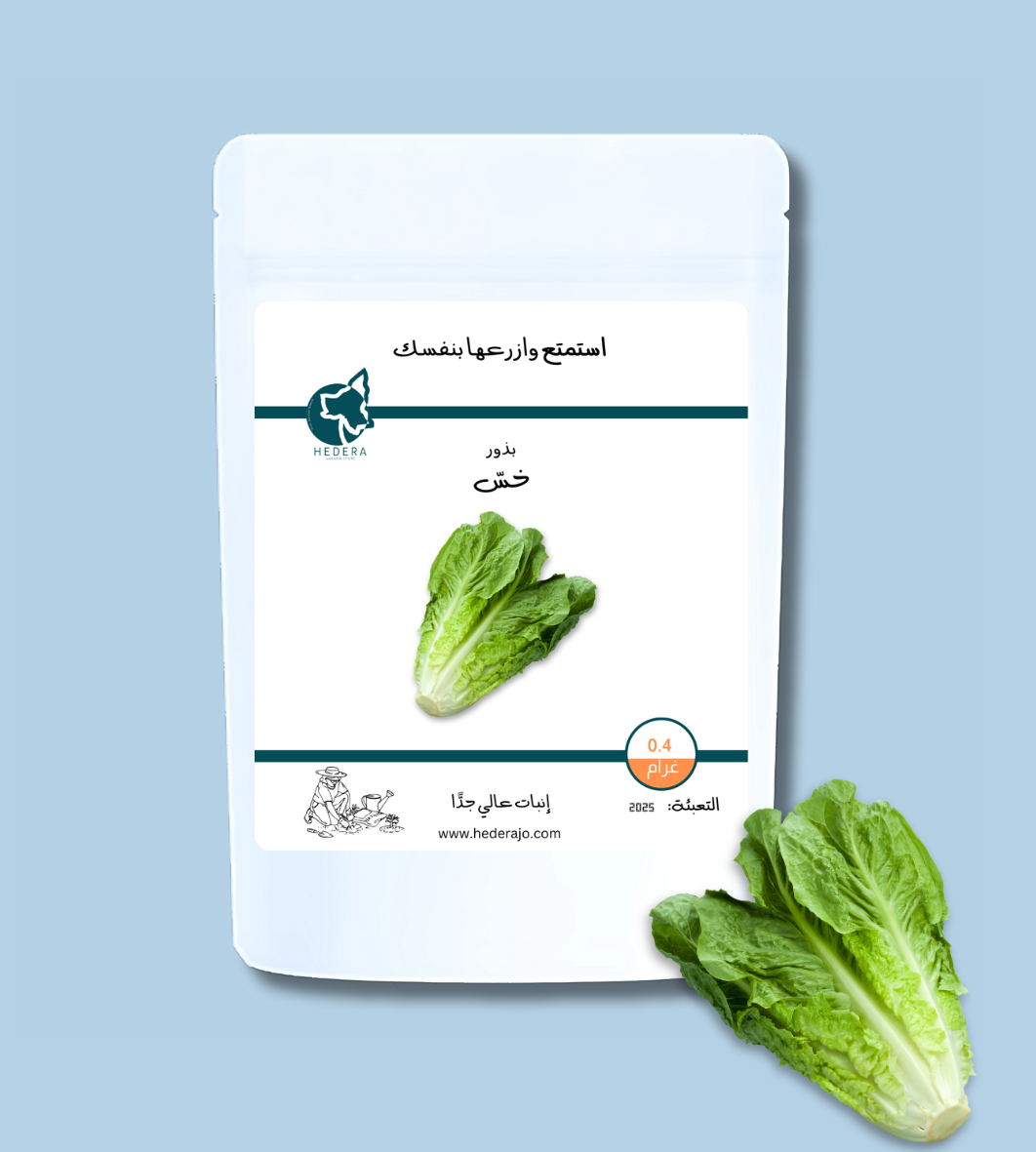 بذور خس عالية الجودة - High Quality Lettuce Seeds – Hedera