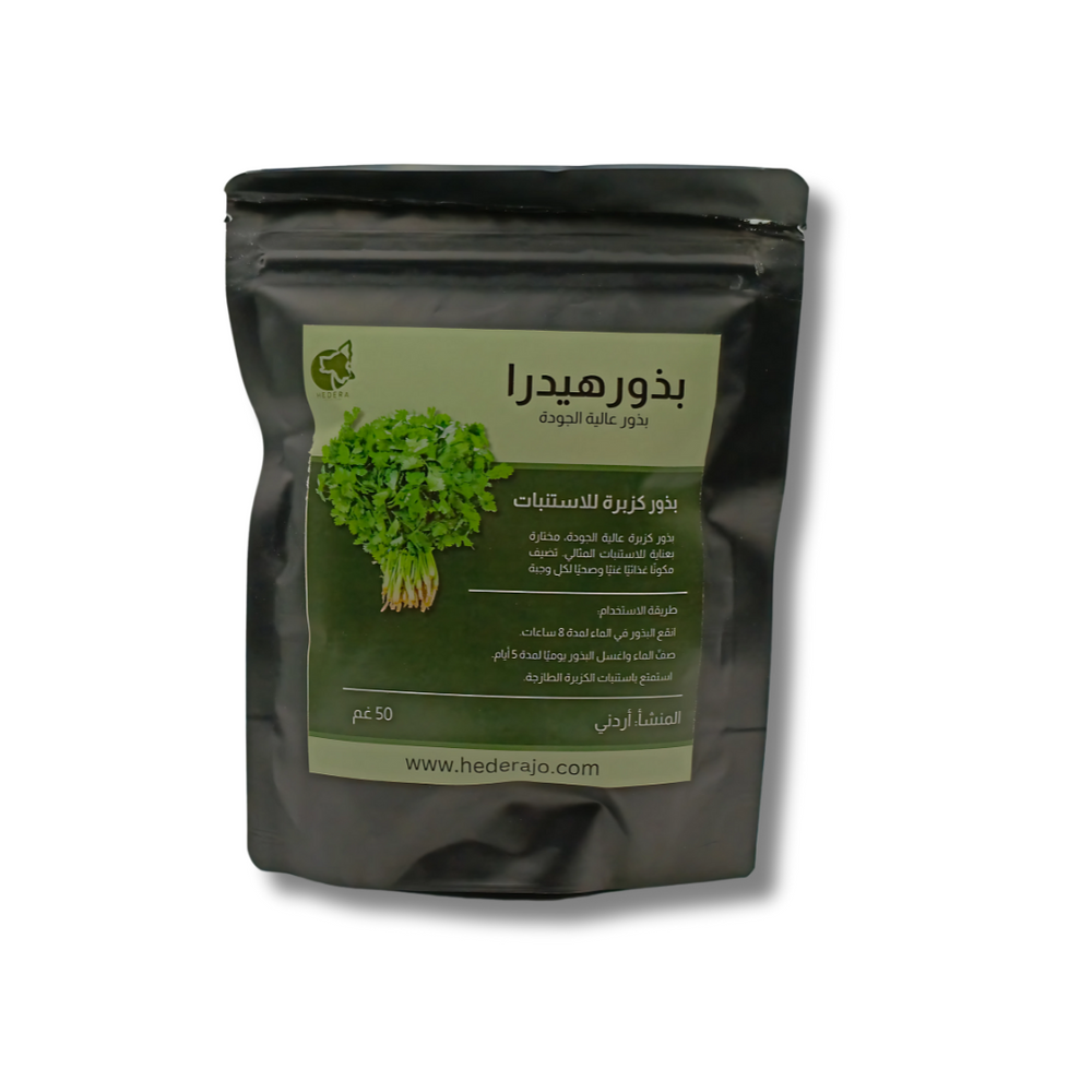 بذور كزبرة للاستنبات بأوراق عطرية