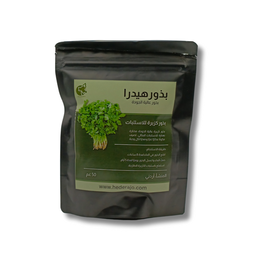 بذور الكزبرة للاستنبات - Coriander Microgreens Seeds